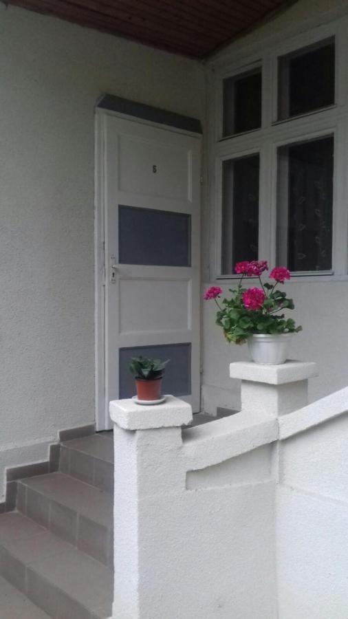 Gelena Гостьовий Двір Uzhhorod Exterior photo